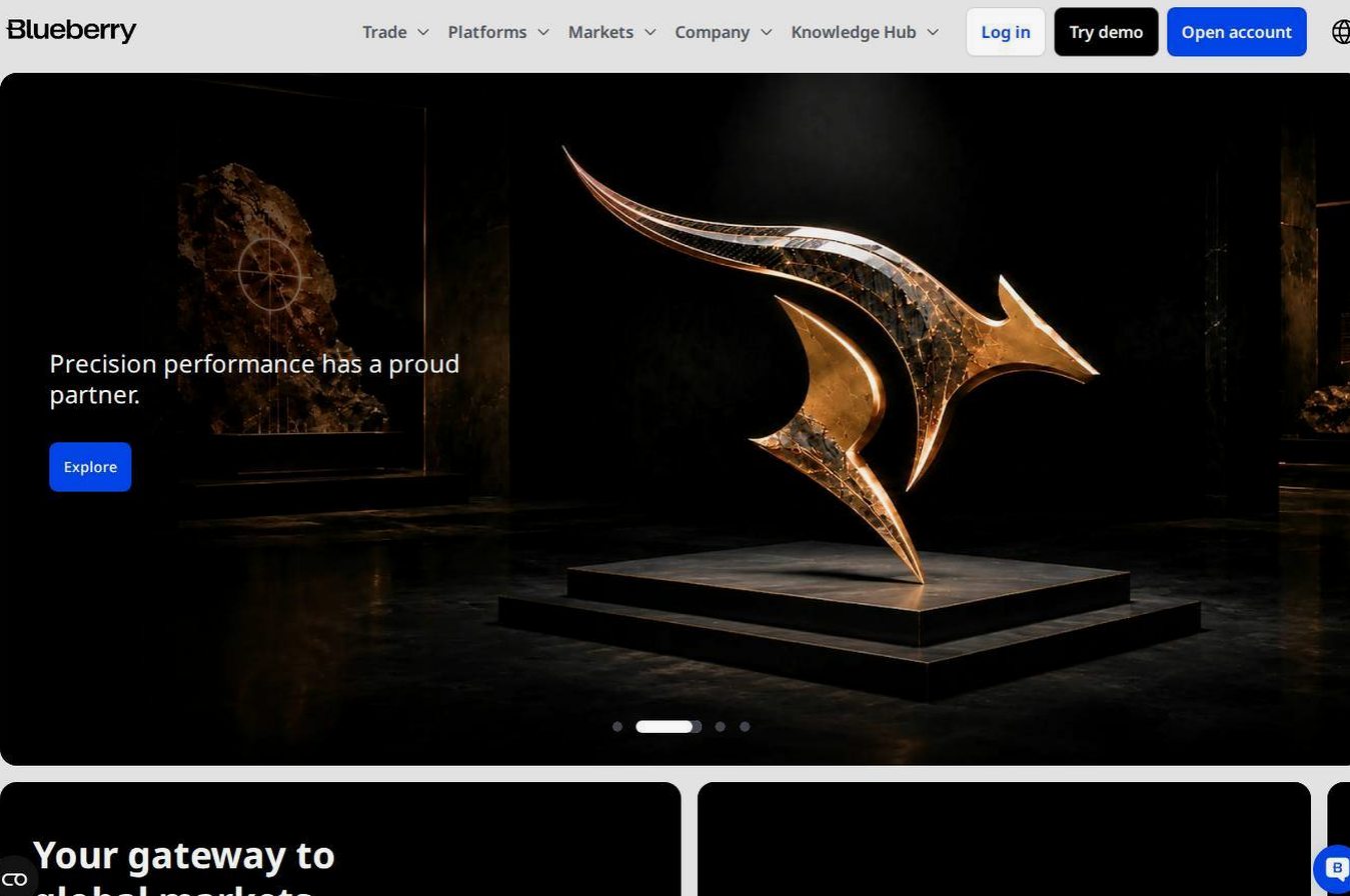 Screenshot of the Blueberry Markets website